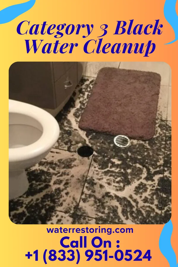 Category 3 Black Water Cleanup in Cleveland, VA