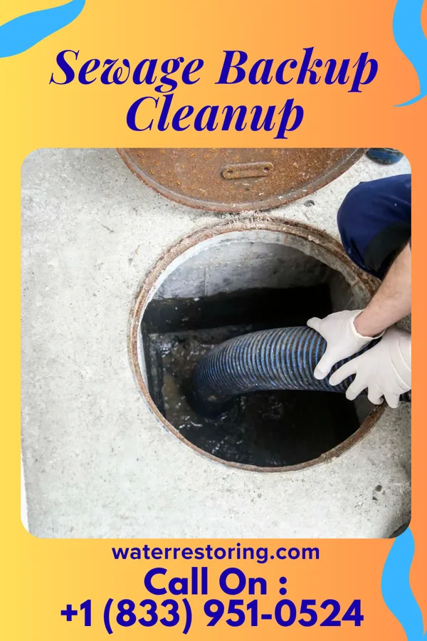 Sewage Backup Cleanup in Cleveland, VA