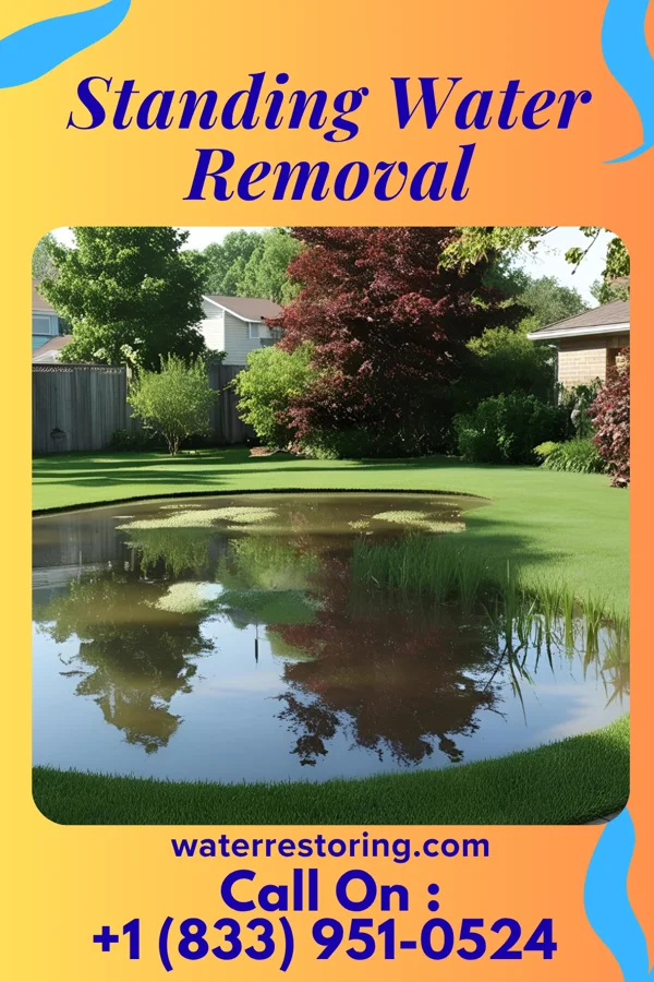 Standing Water Removal in Cleveland, VA